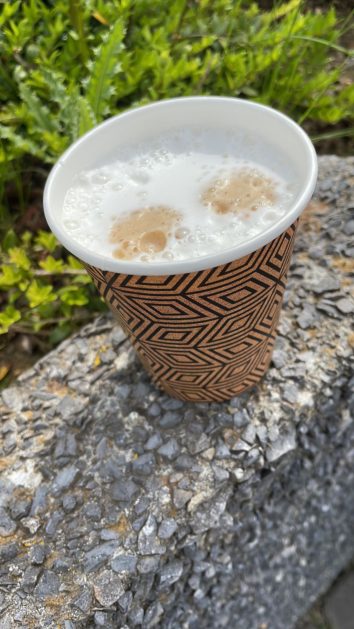 Groene koffie