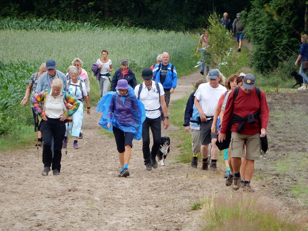 Wandelen