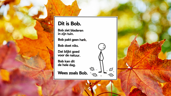 Dit is BOB